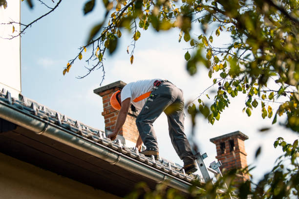 Best Residential Roofing Contractor  in Chatham, IL