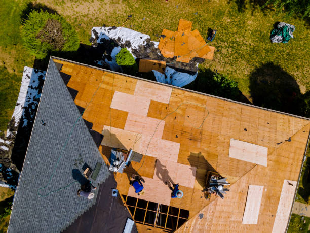 Best Flat Roof Repair Services  in Chatham, IL