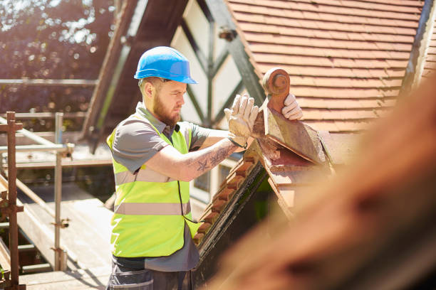 Professional Roofing Contractor in Chatham, IL