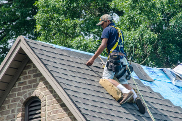 Residential Roof Replacement in Chatham, IL
